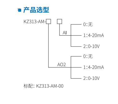 KZ313-AM